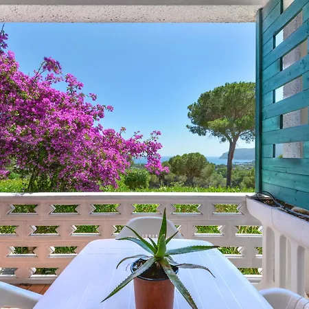 Conti Apartment