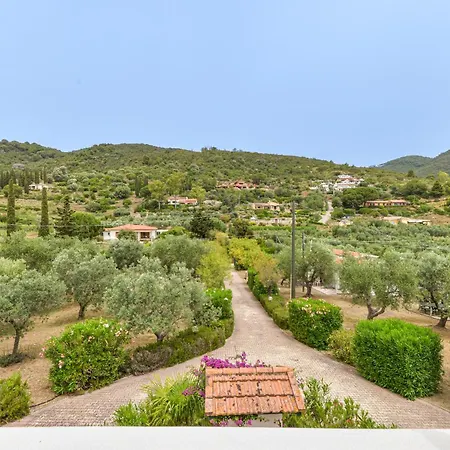 Conti * Lacona
