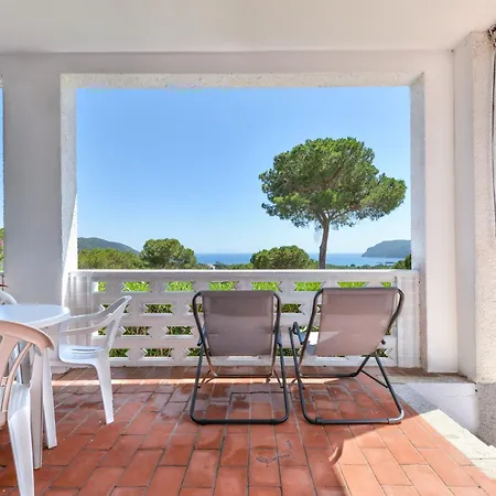 Apartment Conti