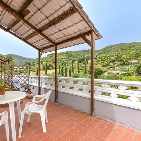 Conti Lacona